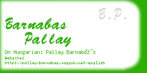 barnabas pallay business card